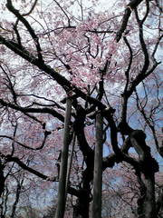 20100411125556.jpg