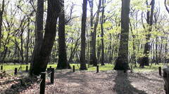 20100411135804.jpg
