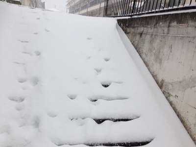 20140208-03.jpg