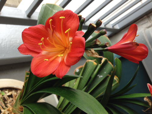20140504.jpg