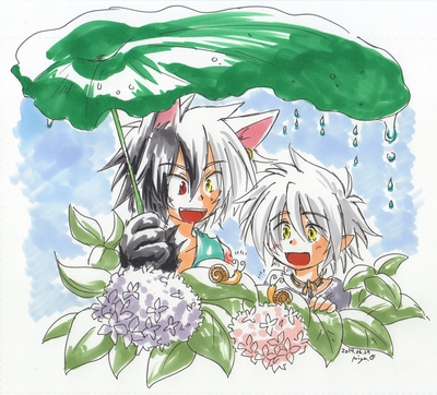 20140627.jpg